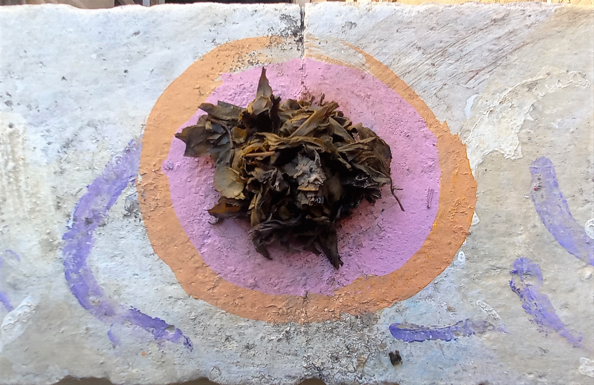 le foglie del tè puliscono i sogni arte del riscatto memoria della pietra mezzanine living