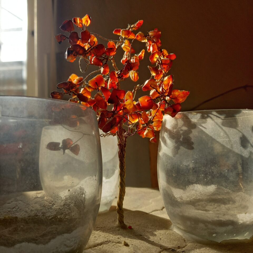Nei miei tempi mi riconosco. Casa Museo Sotto l'Etna