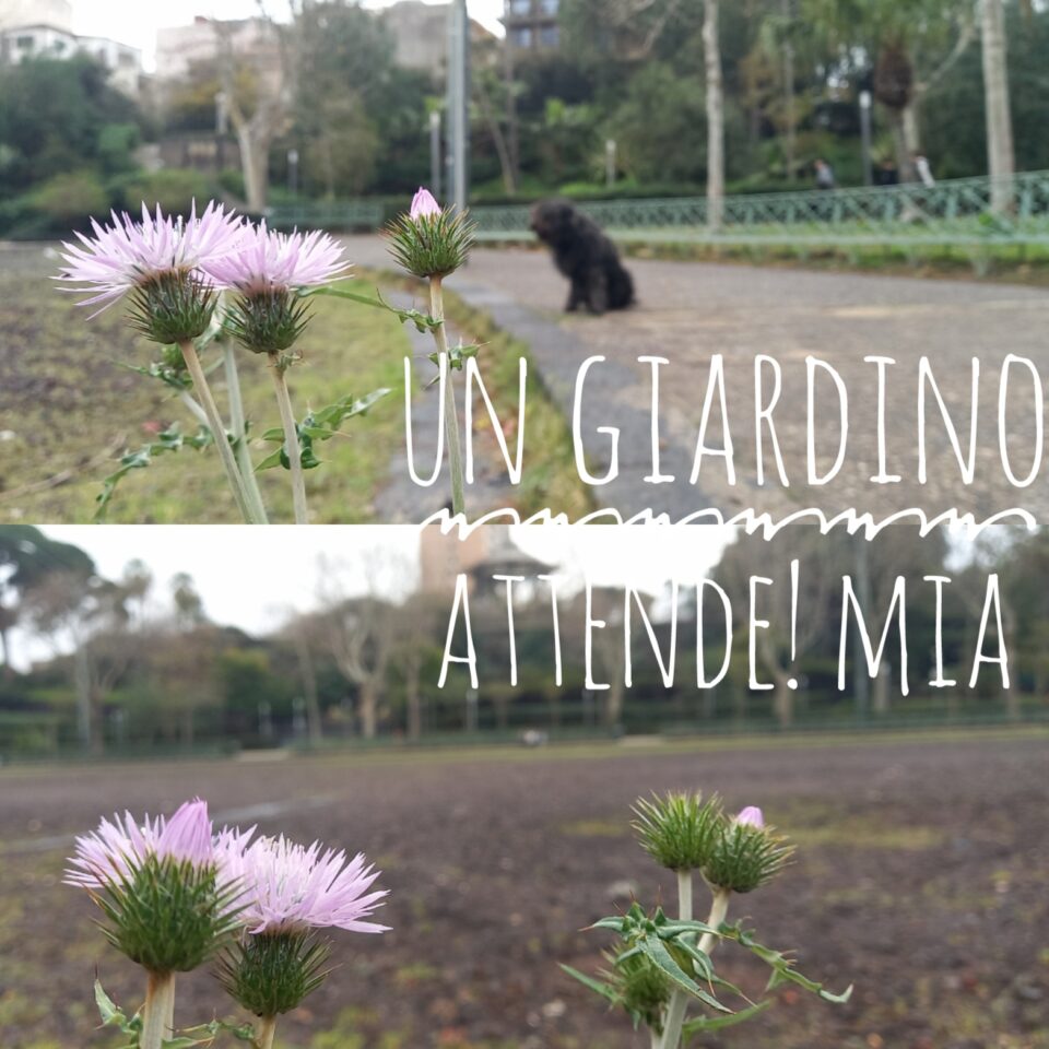 Villa Bellini Il Giardino dentro il giardino Sogno Sociale Catania Visionaria Mia
