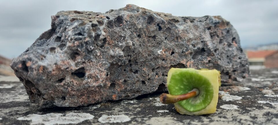 Natura Primitiva Cortile delle Nevi