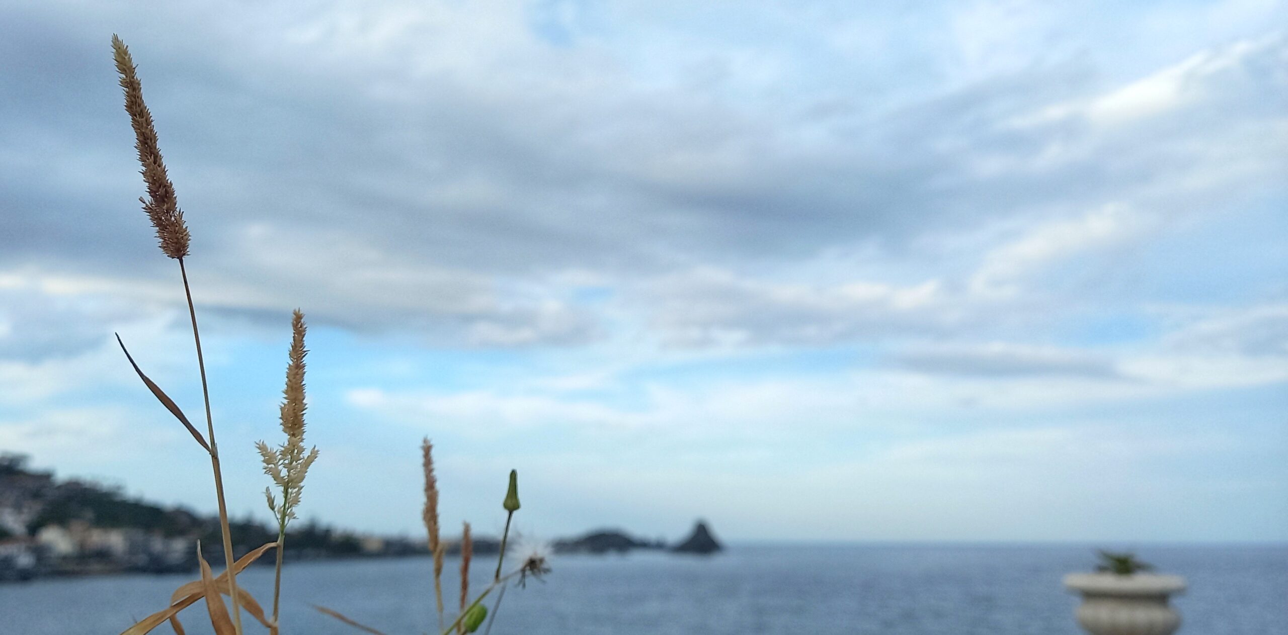 Sicily needs love Aci Castello Visionaria